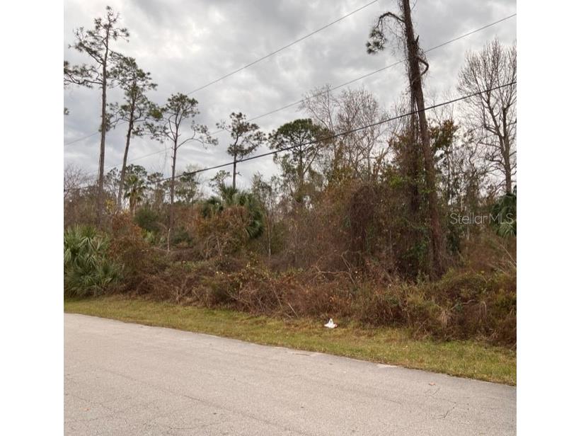 37 Zephyr Lily Trail Palm Coast FL 32164 FC288268 image1