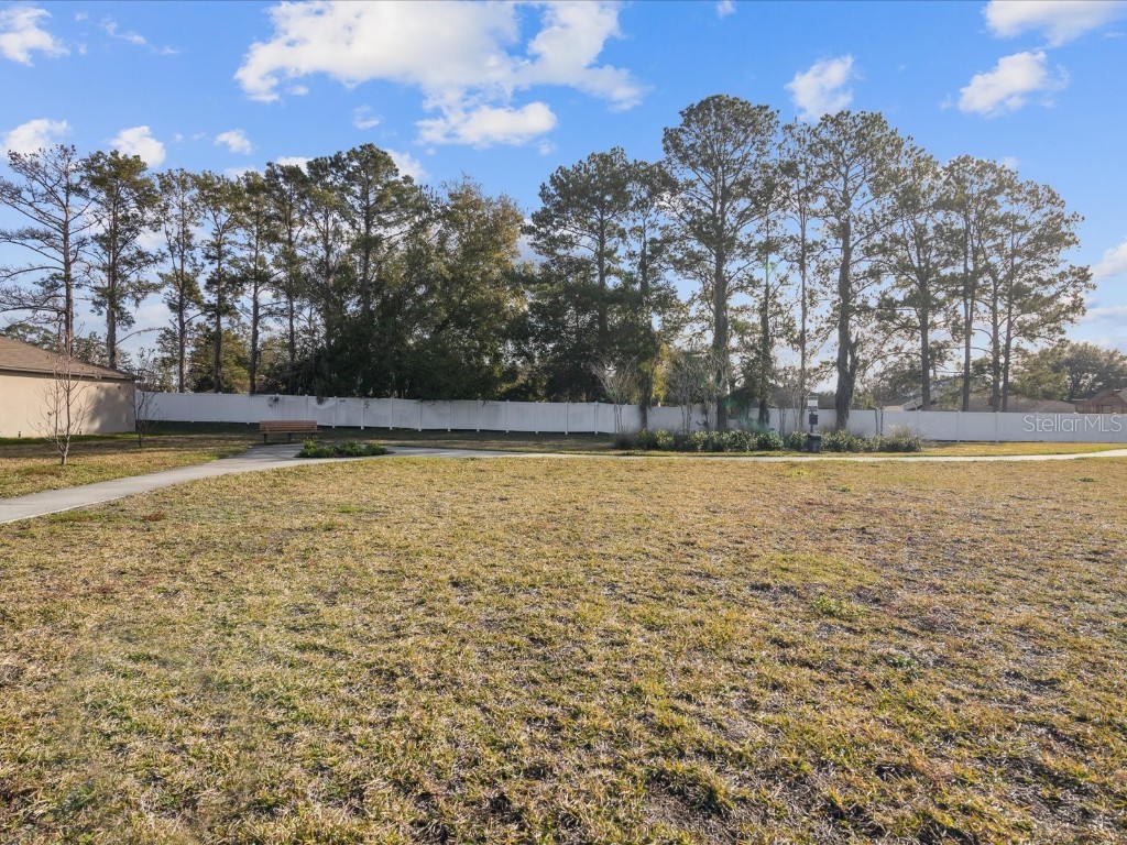 370 Argyll Drive Spring Hill FL 34609 W7881334 image56