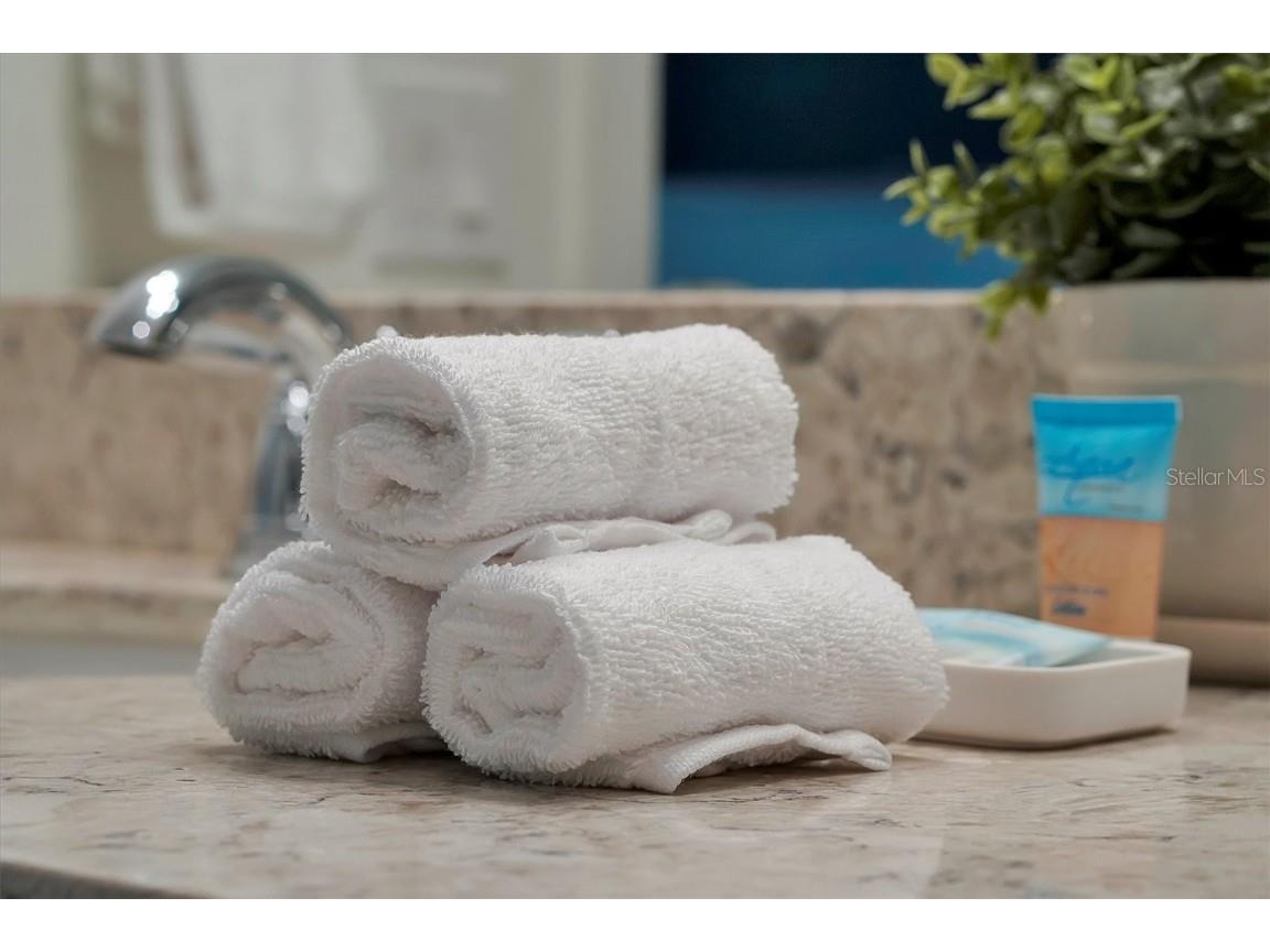 370 Captiva Drive Davenport FL 33896 O6361069 image42