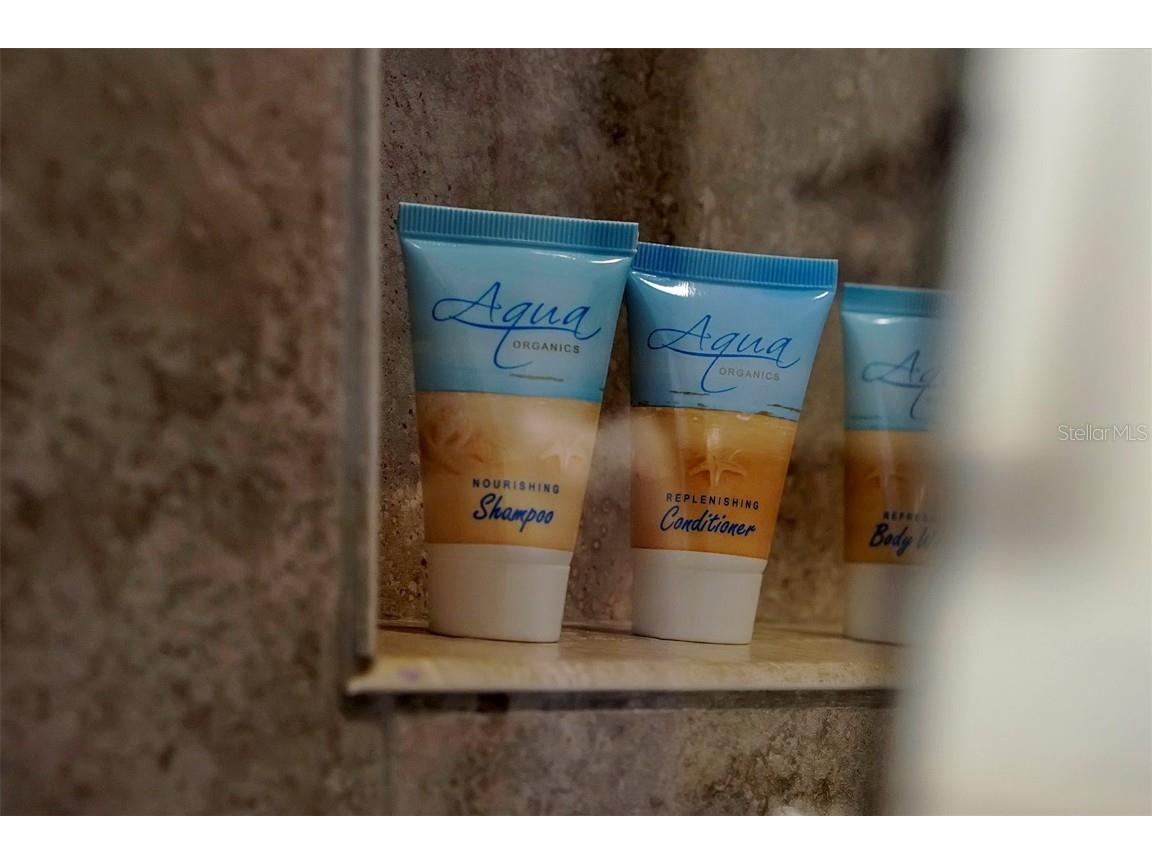 370 Captiva Drive Davenport FL 33896 O6361069 image48