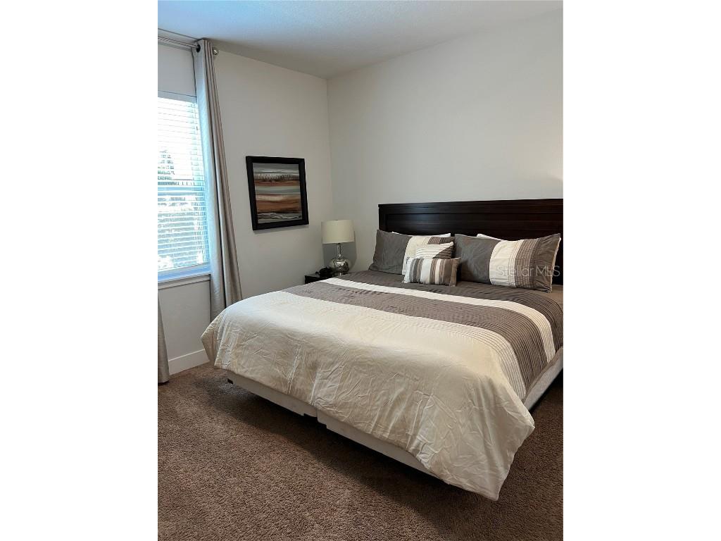 370 Lasso Drive Kissimmee FL 34747 O6186937 image23