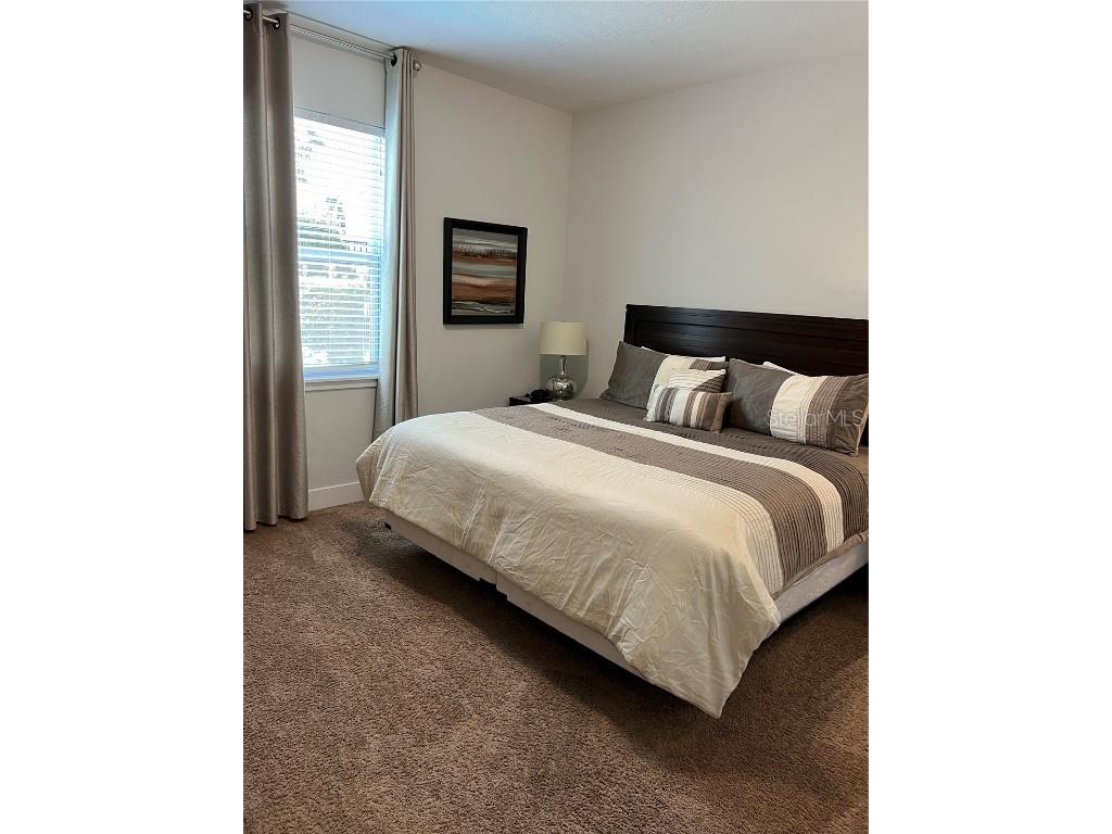 370 Lasso Drive Kissimmee FL 34747 O6186937 image25