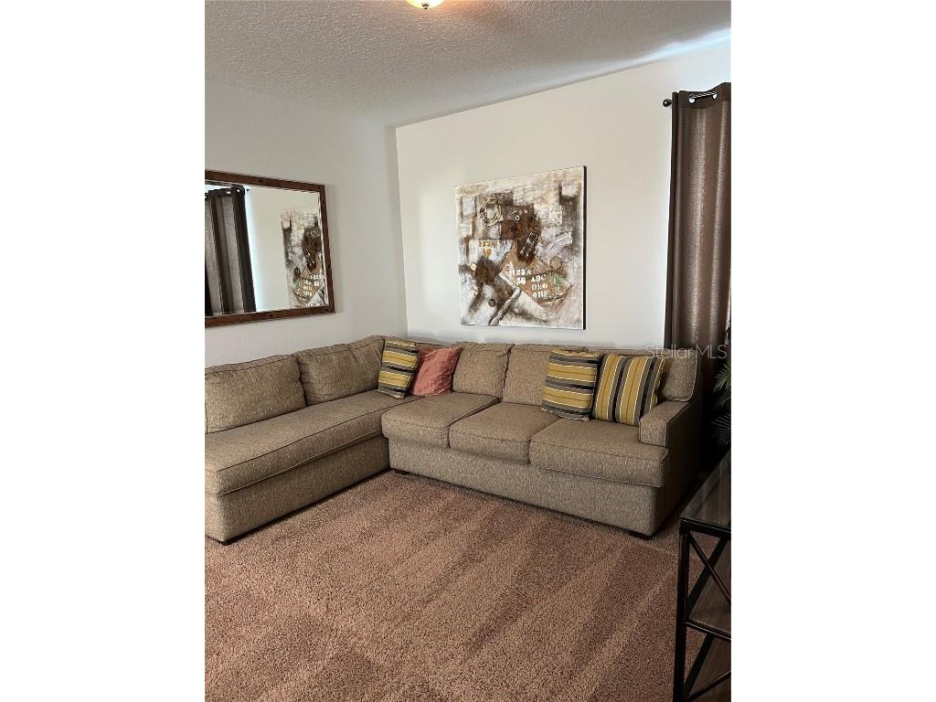 370 Lasso Drive Kissimmee FL 34747 O6186937 image32