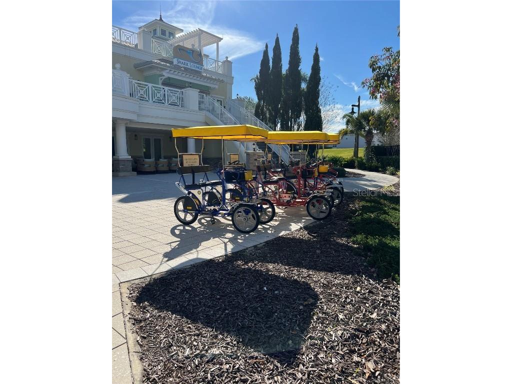 370 Lasso Drive Kissimmee FL 34747 O6186937 image81