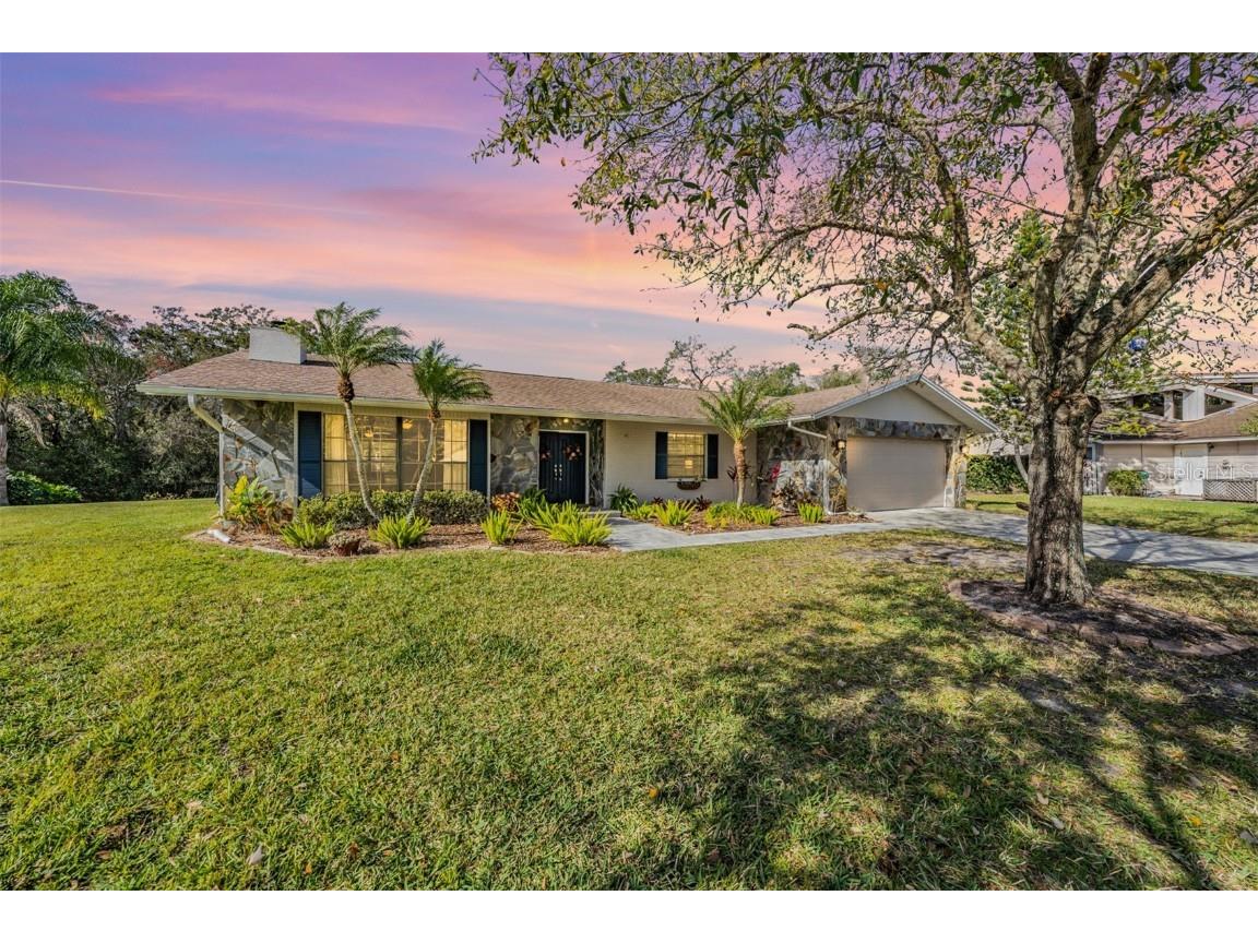 370 Palmdale Drive Oldsmar FL 34677 U8190209 image1