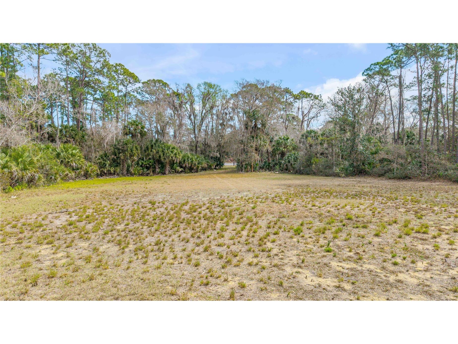 370 S Us Highway 1 Oak Hill FL 32759 NS1087415 image6