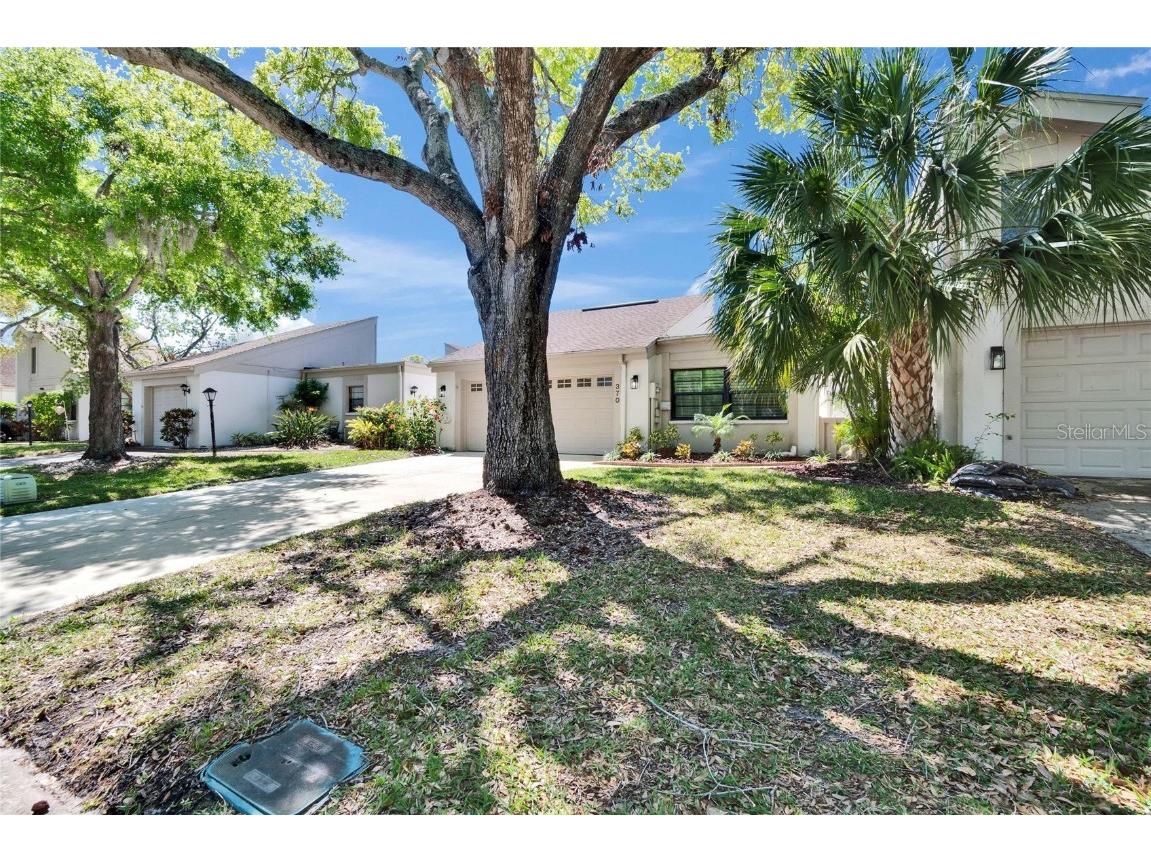 370 S Woodlands Drive Oldsmar FL 34677 TB8361268 image11