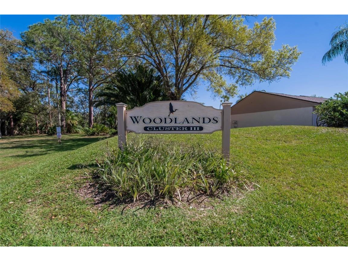 370 S Woodlands Drive Oldsmar FL 34677 TB8361268 image7