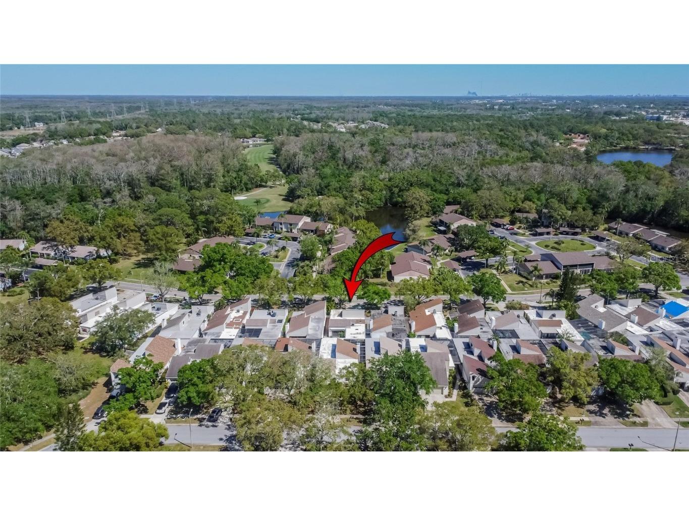 370 S Woodlands Drive Oldsmar FL 34677 TB8361268 image8