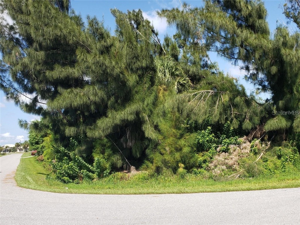 370 W Tarpon Boulevard NW Port Charlotte FL 33952 D6142542 image2