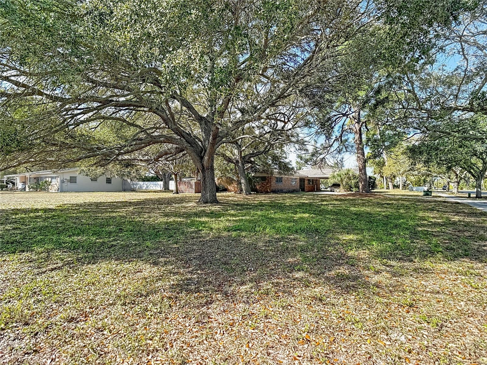 3700 Dana Shores Drive Tampa FL 33634 O6384948 image2