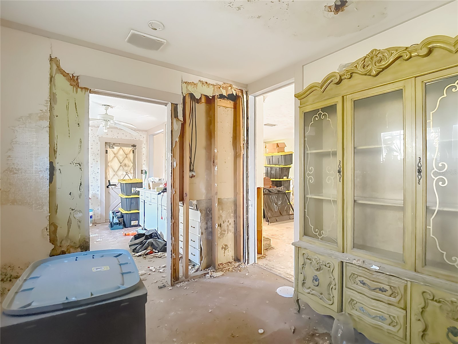 3700 Dana Shores Drive Tampa FL 33634 O6384948 image24