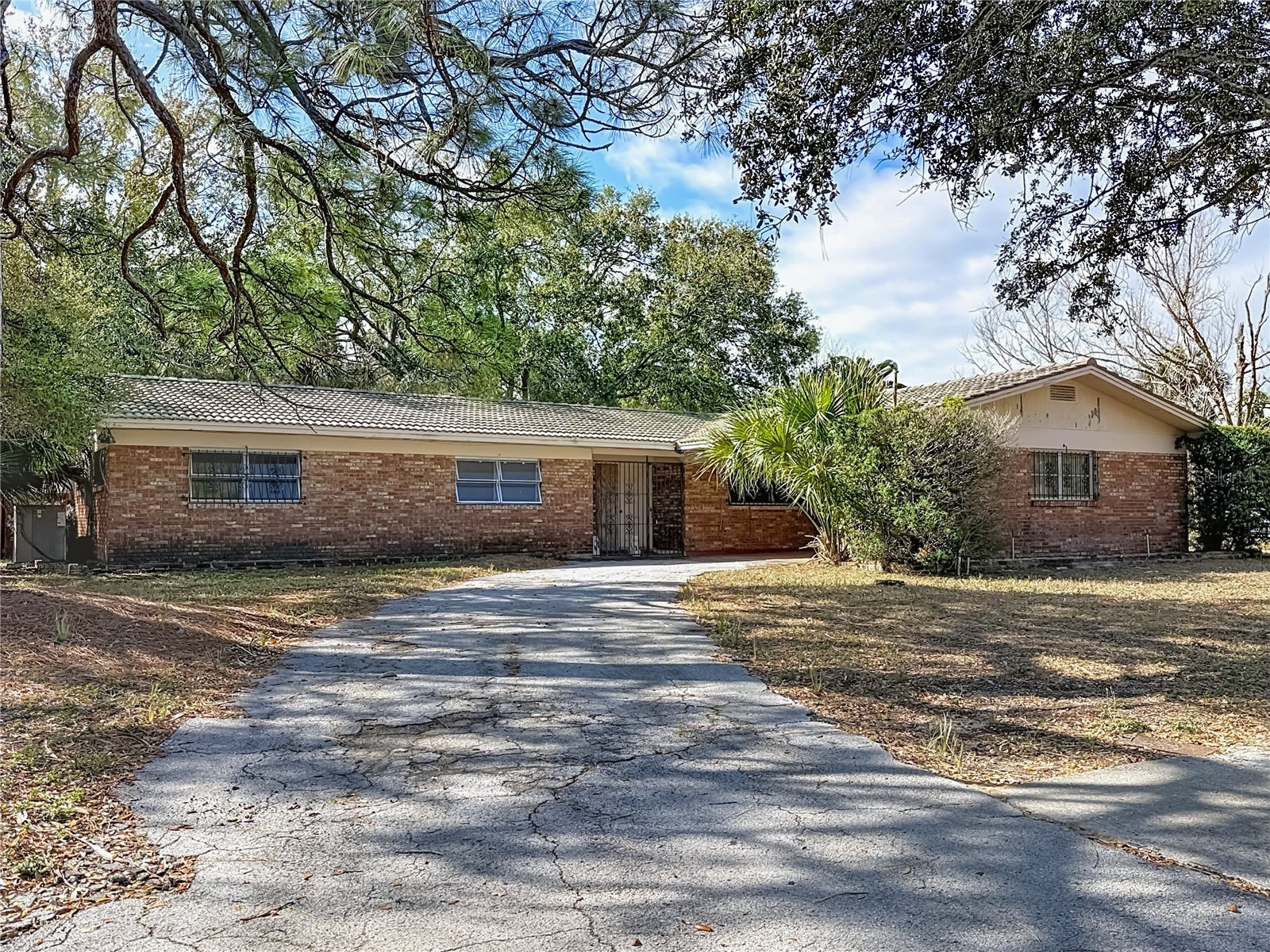 3700 Dana Shores Drive Tampa FL 33634 O6384948 image4
