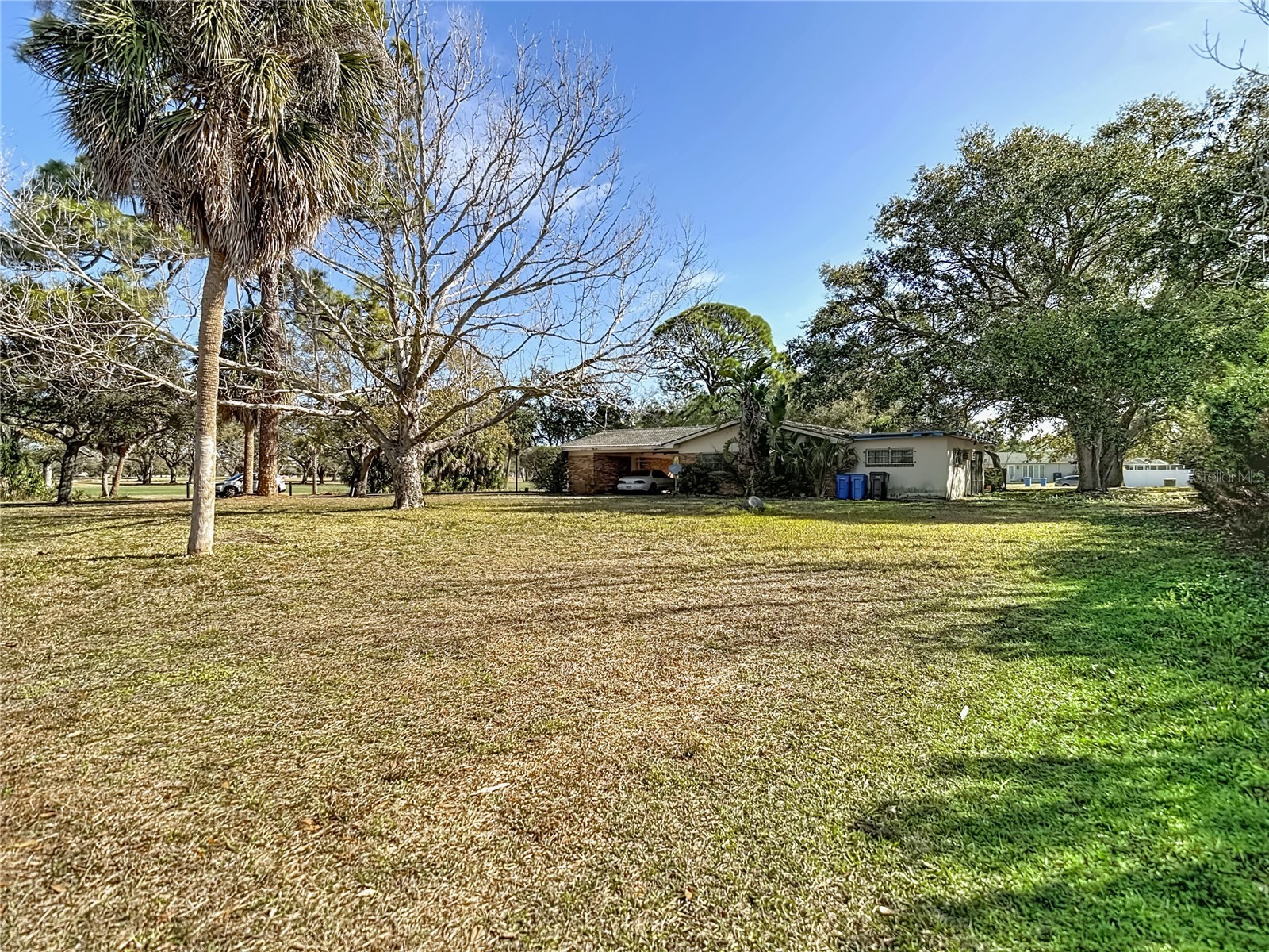 3700 Dana Shores Drive Tampa FL 33634 O6384948 image5