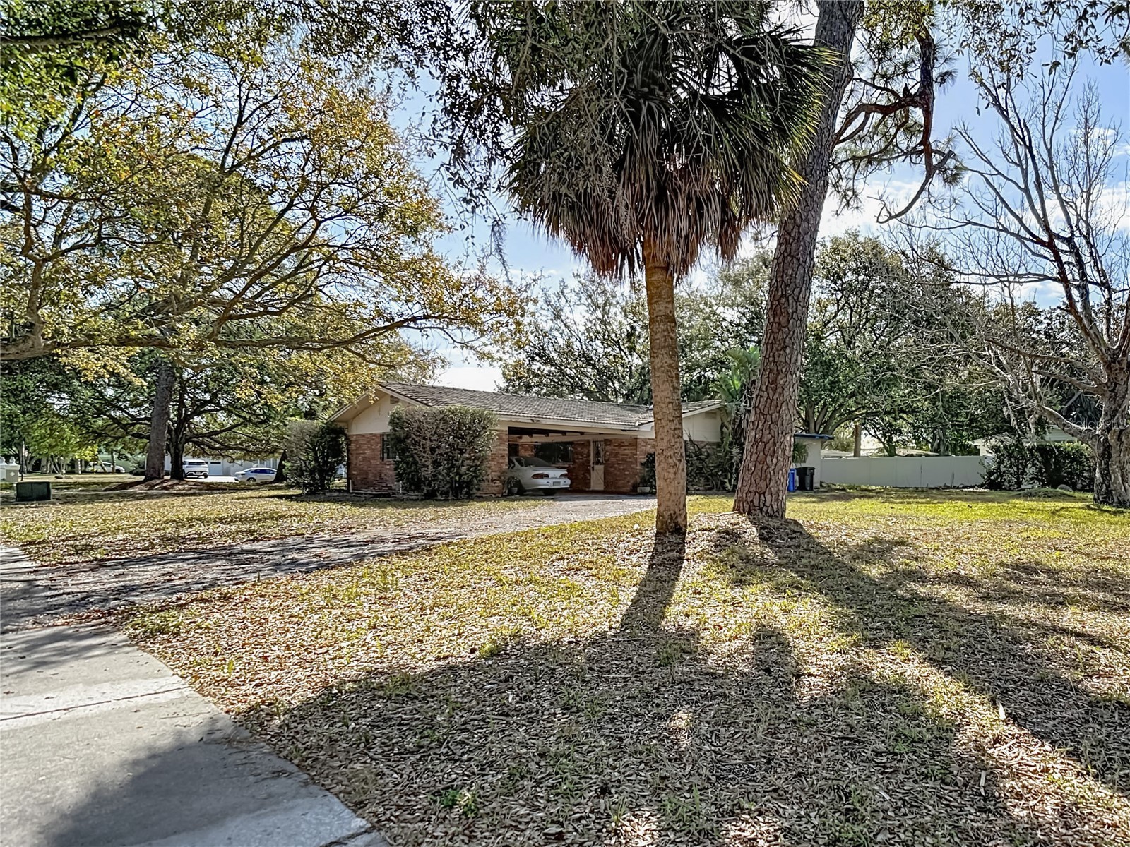 3700 Dana Shores Drive Tampa FL 33634 O6384948 image6