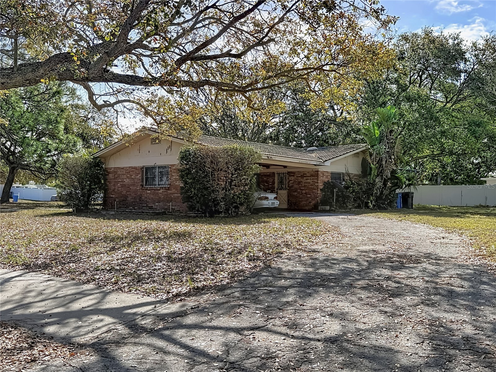 3700 Dana Shores Drive Tampa FL 33634 O6384948 image7