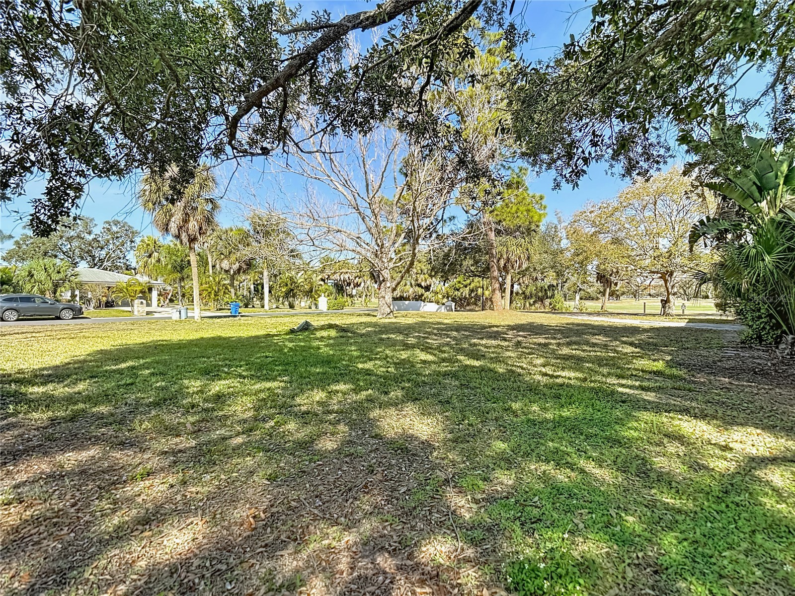 3700 Dana Shores Drive Tampa FL 33634 O6384948 image8