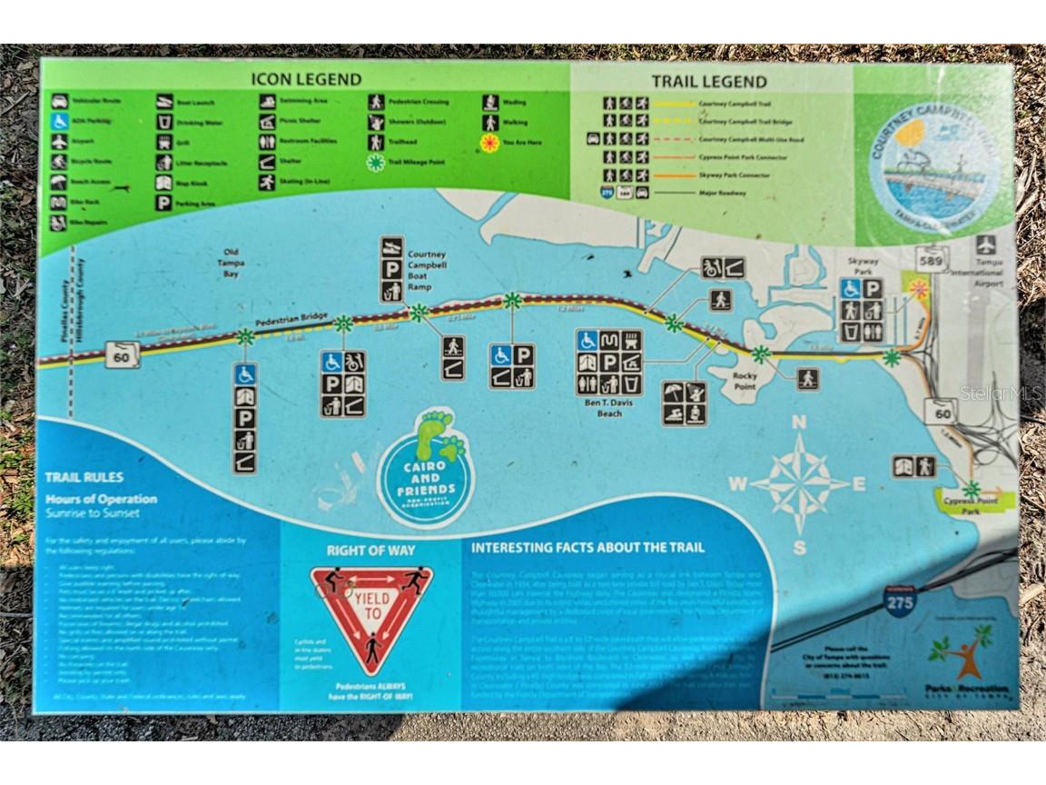 3700 Dana Shores Drive Tampa FL 33634 TB8331124 image29