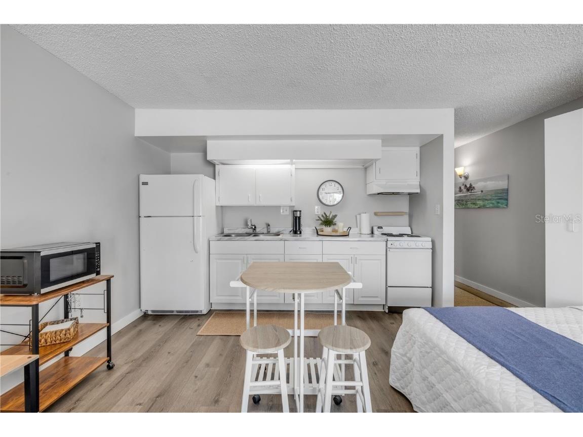 3700 S Atlantic Avenue #101 New Smyrna Beach FL 32169 NS1085745 image3