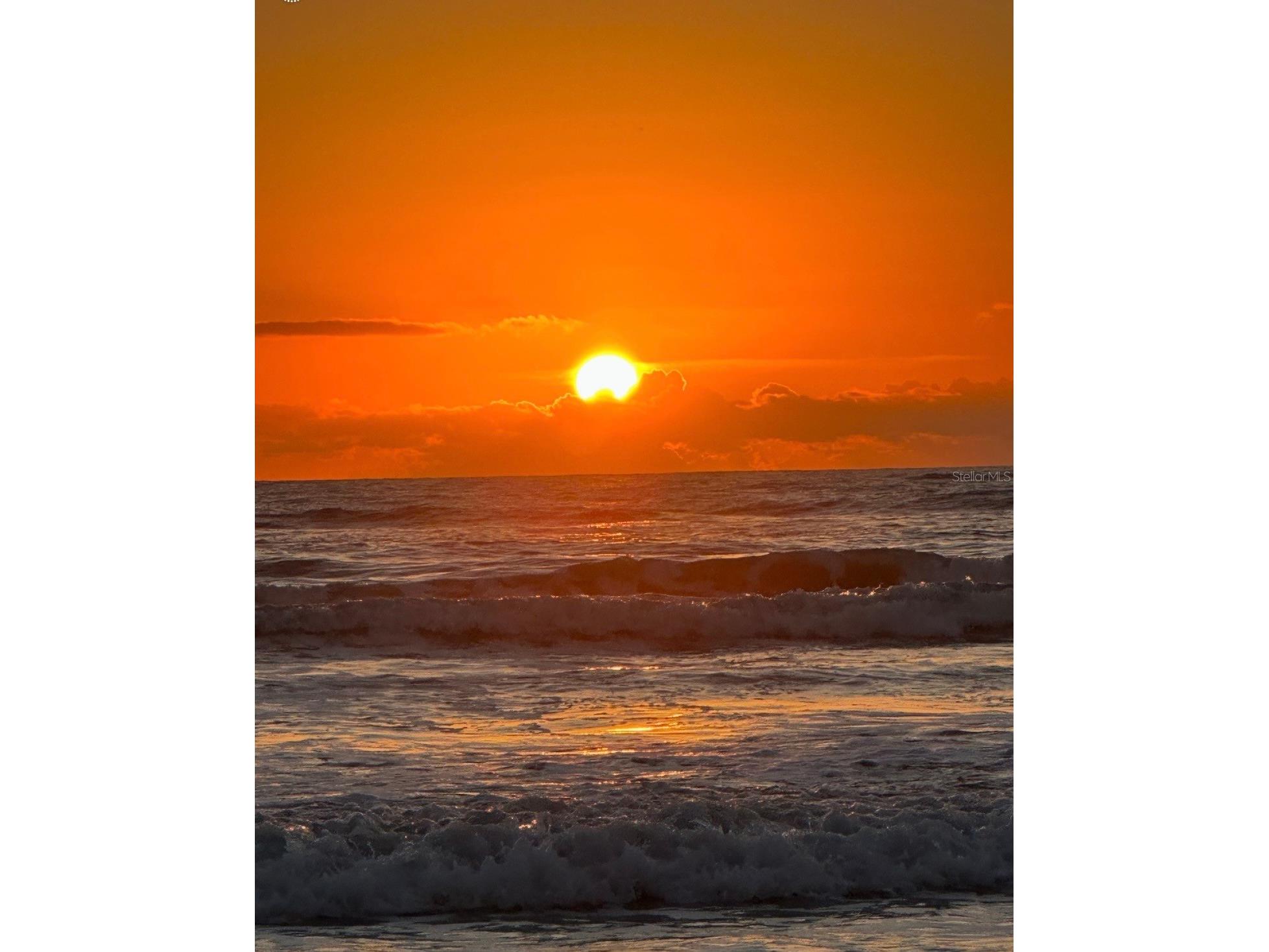 3700 S Atlantic Avenue #215 New Smyrna Beach FL 32169 O6401374 image20