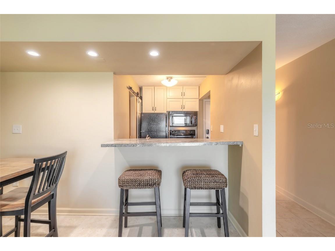 3700 S Atlantic Avenue #413 New Smyrna Beach FL 32169 V4942526 image9