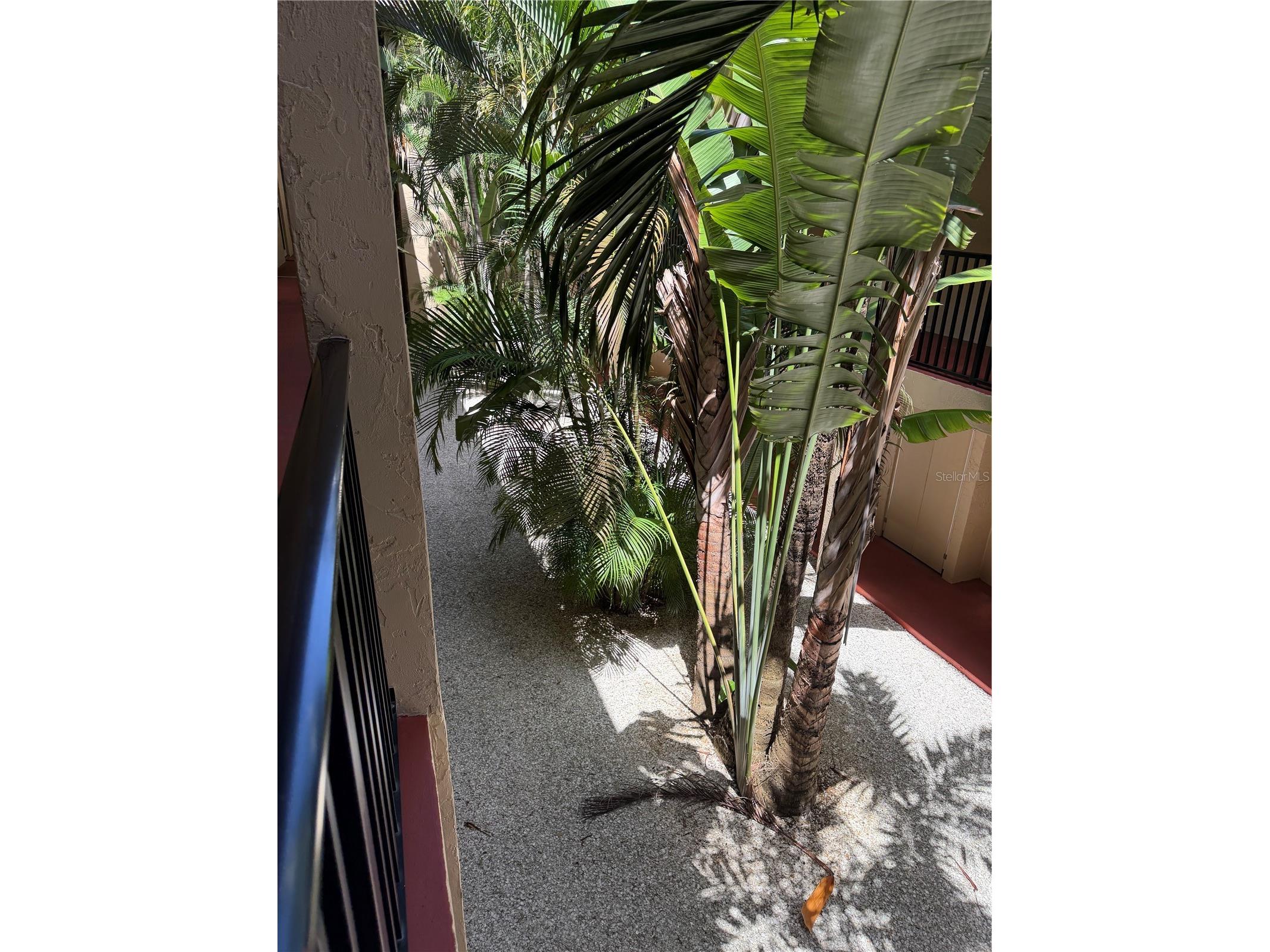 3700 S Osprey Avenue #205 Sarasota FL 34239 TB8494655 image28