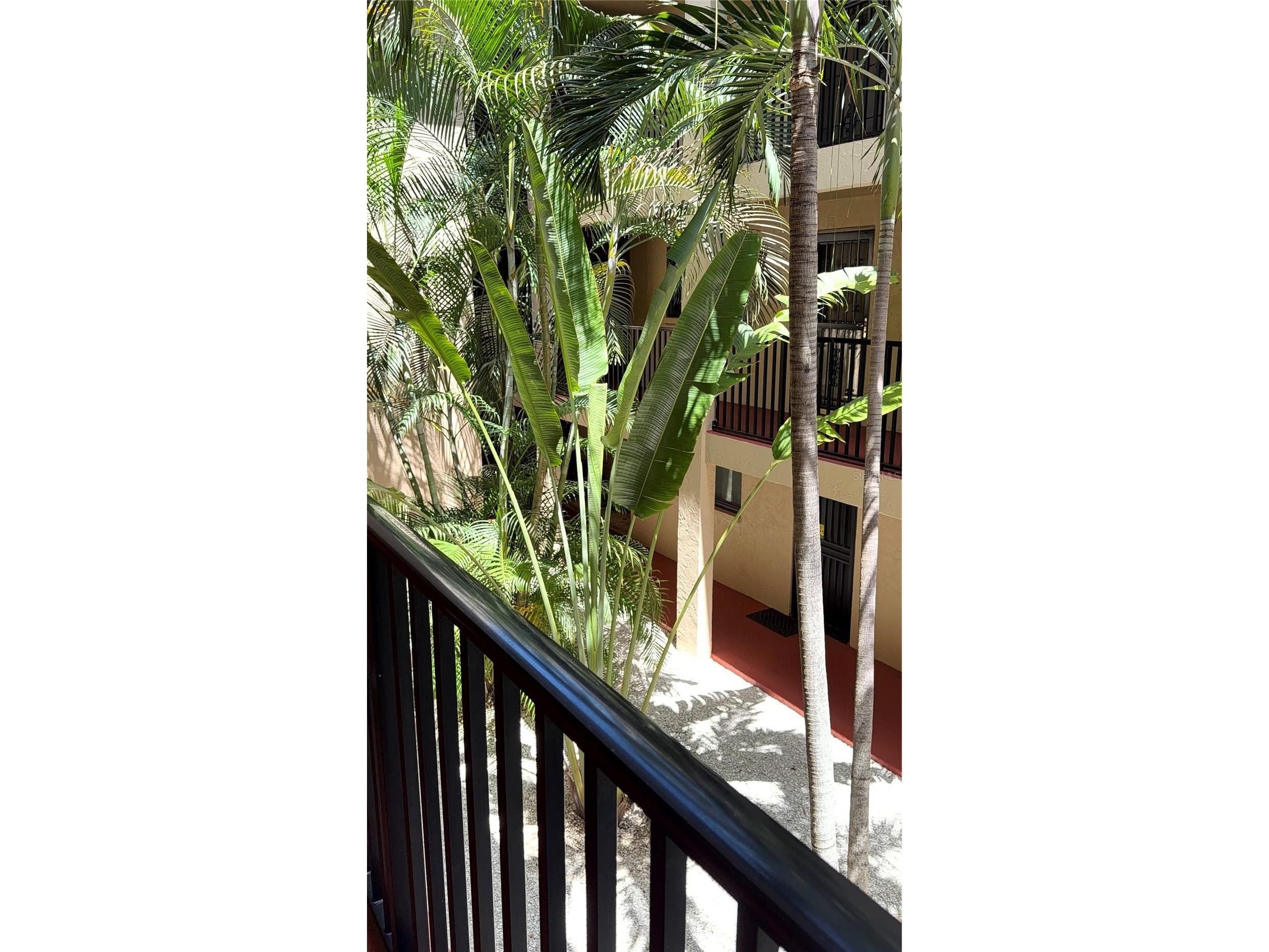 3700 S Osprey Avenue #205 Sarasota FL 34239 TB8494655 image30