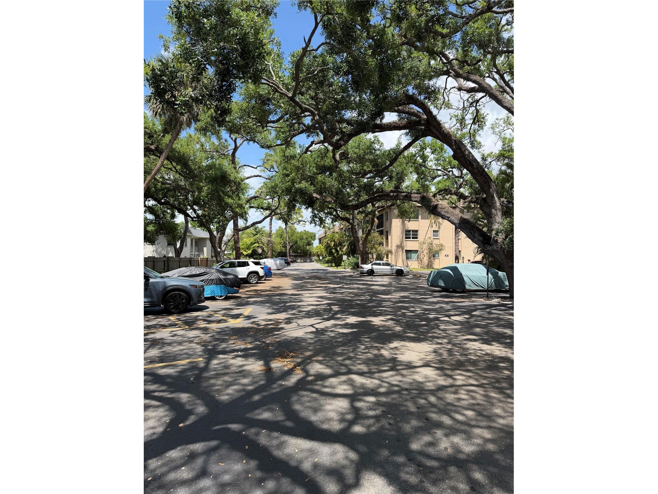 3700 S Osprey Avenue #205 Sarasota FL 34239 TB8494655 image34