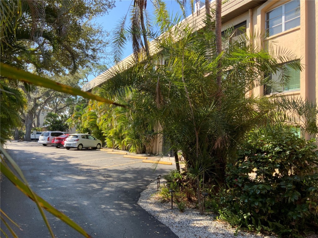 3700 S Osprey Avenue #213 Sarasota FL 34239 N6130899 image1