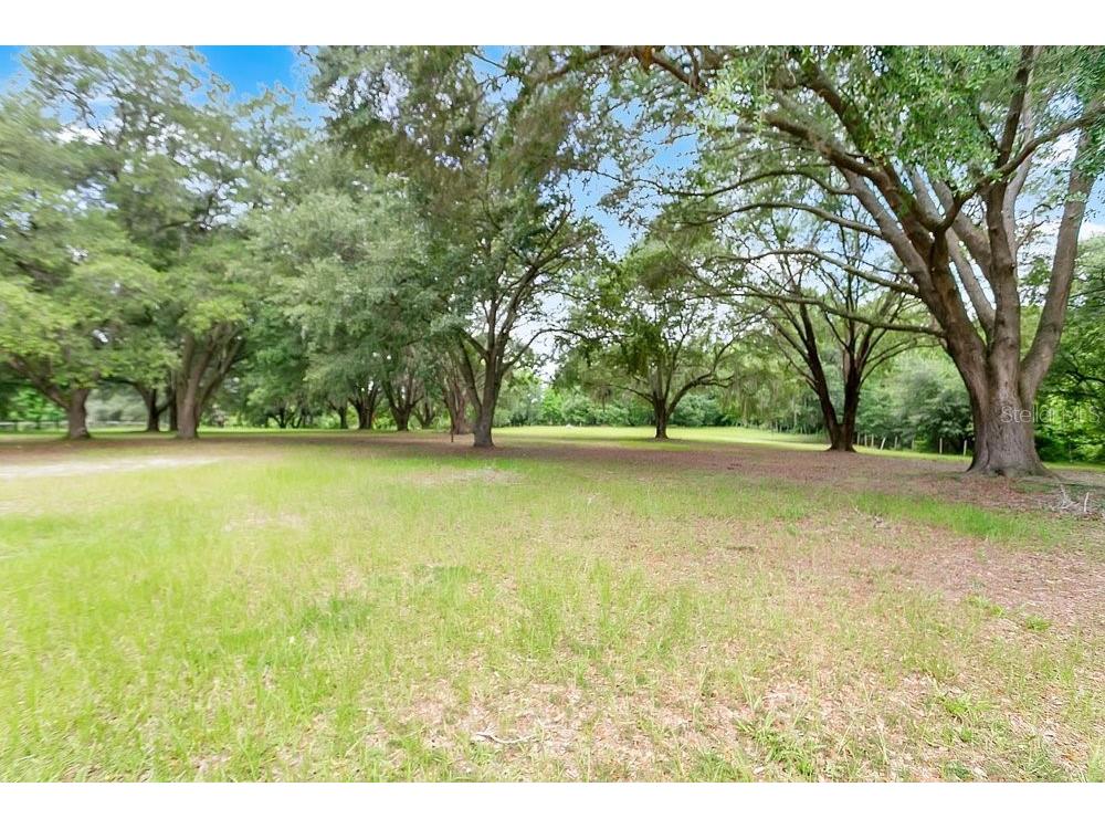 3700 SE 183rd Avenue Road Ocklawaha FL 32179 - LAKE BRYANT O6420790 image35