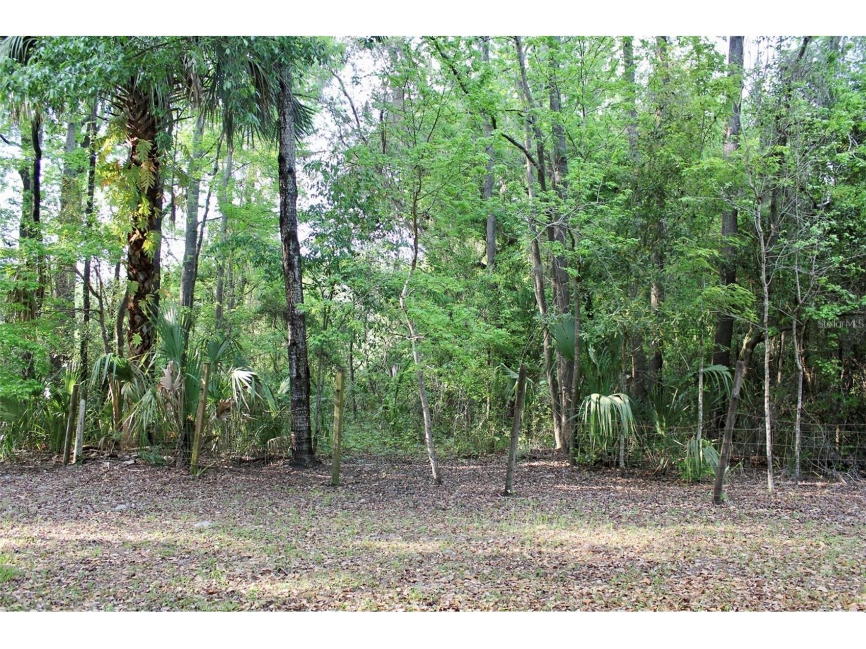 3700 SE 183rd Avenue Road Ocklawaha FL 32179 - LAKE BRYANT O6420790 image45