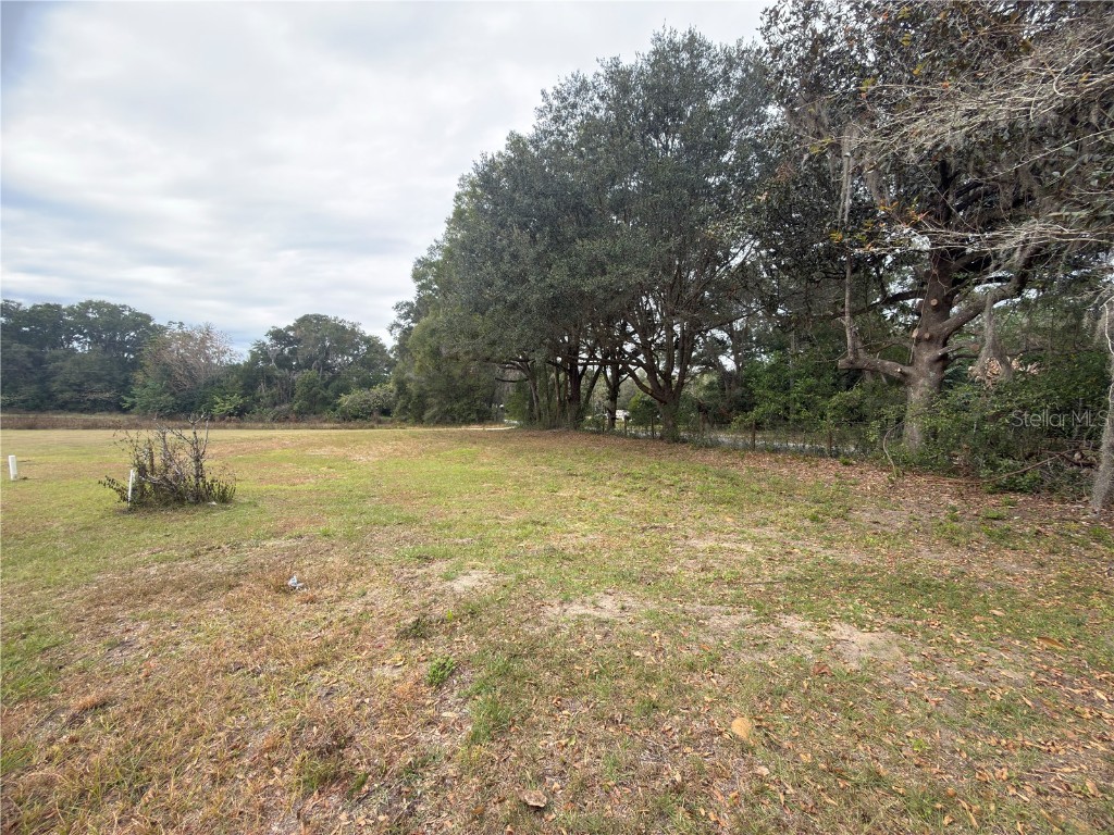 3700 W Highway 316 Reddick FL 32686 O6365653 image14