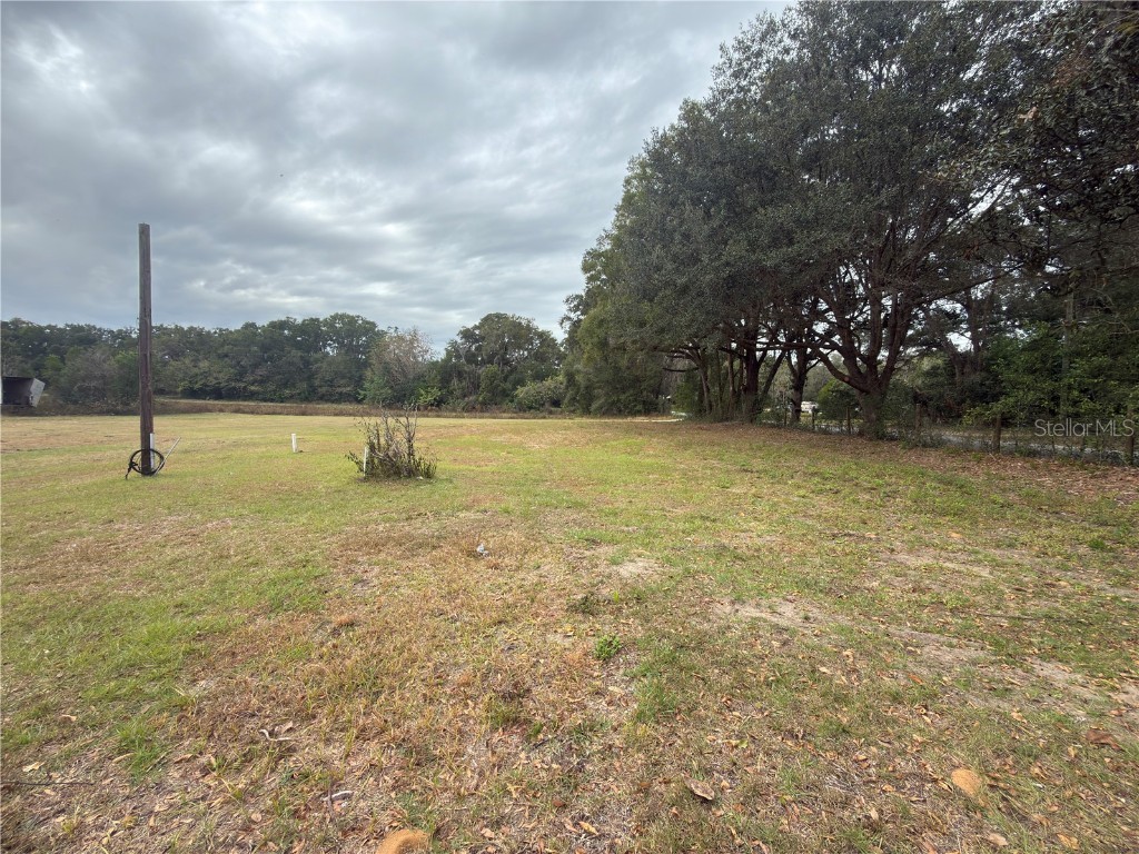 3700 W Highway 316 Reddick FL 32686 O6365653 image15