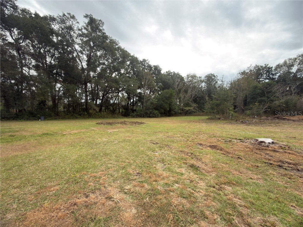 3700 W Highway 316 Reddick FL 32686 O6365653 image6