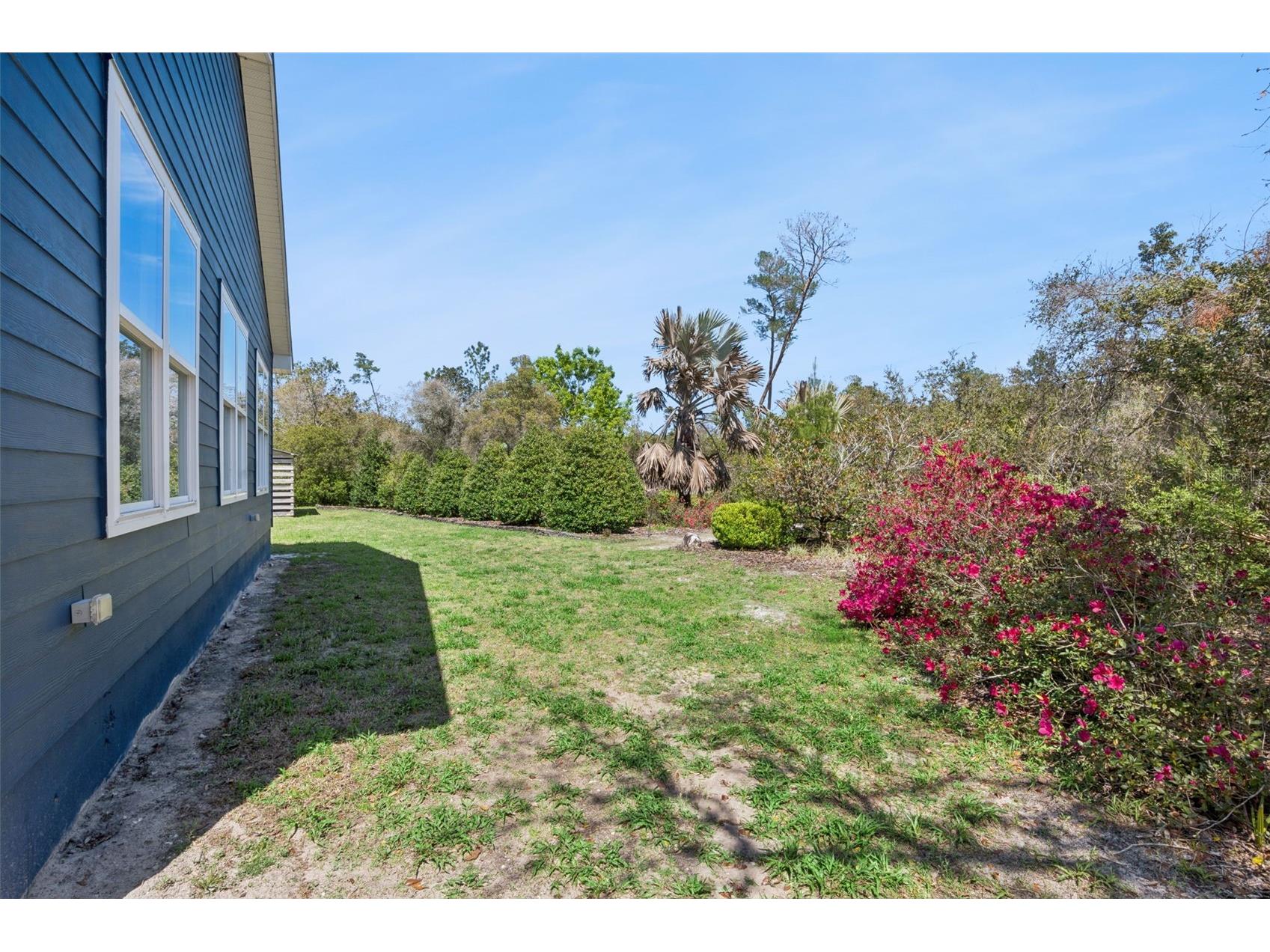 37008 Forestdel Drive Eustis FL 32736 O6386511 image35