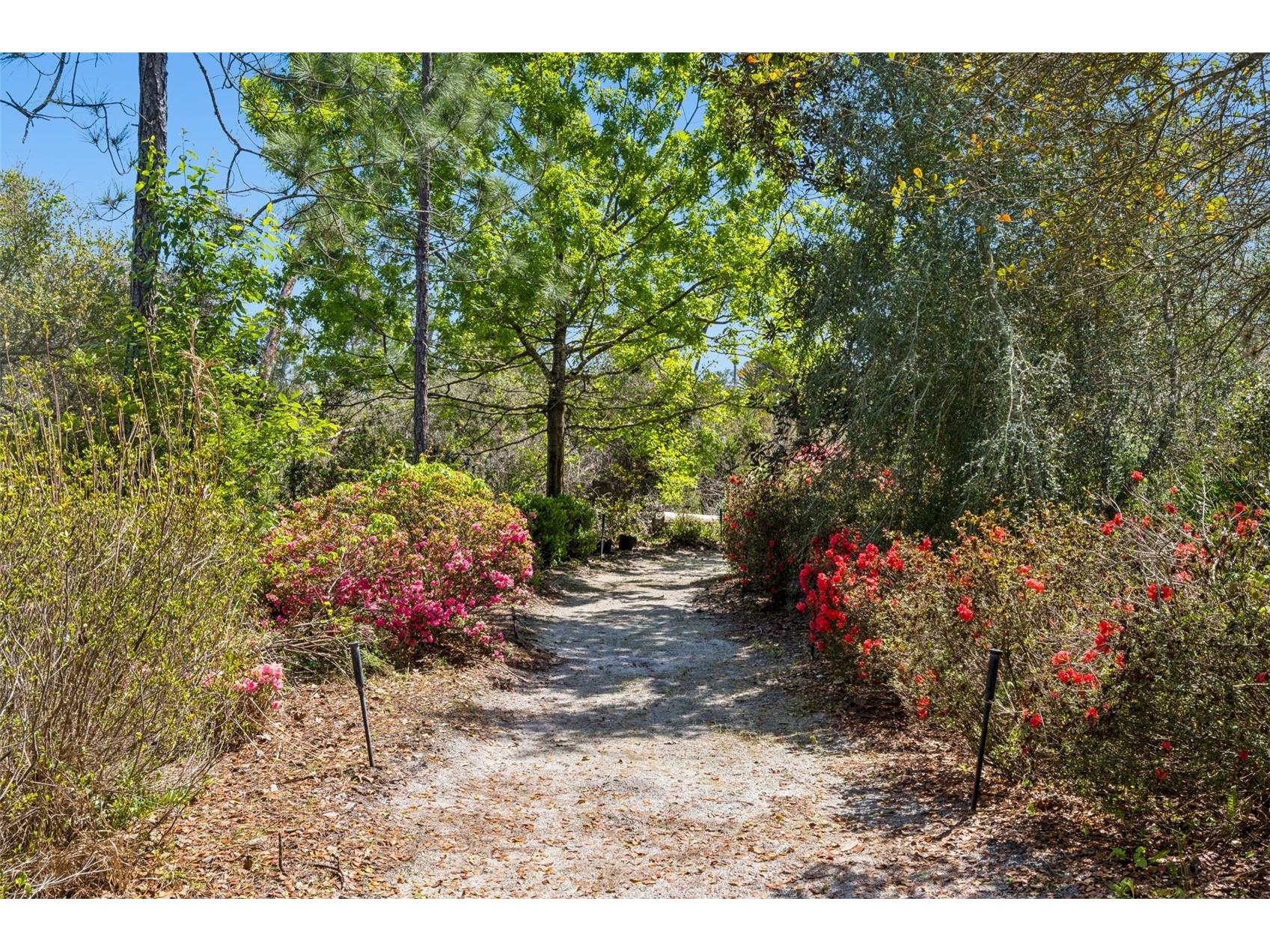 37008 Forestdel Drive Eustis FL 32736 O6386511 image39
