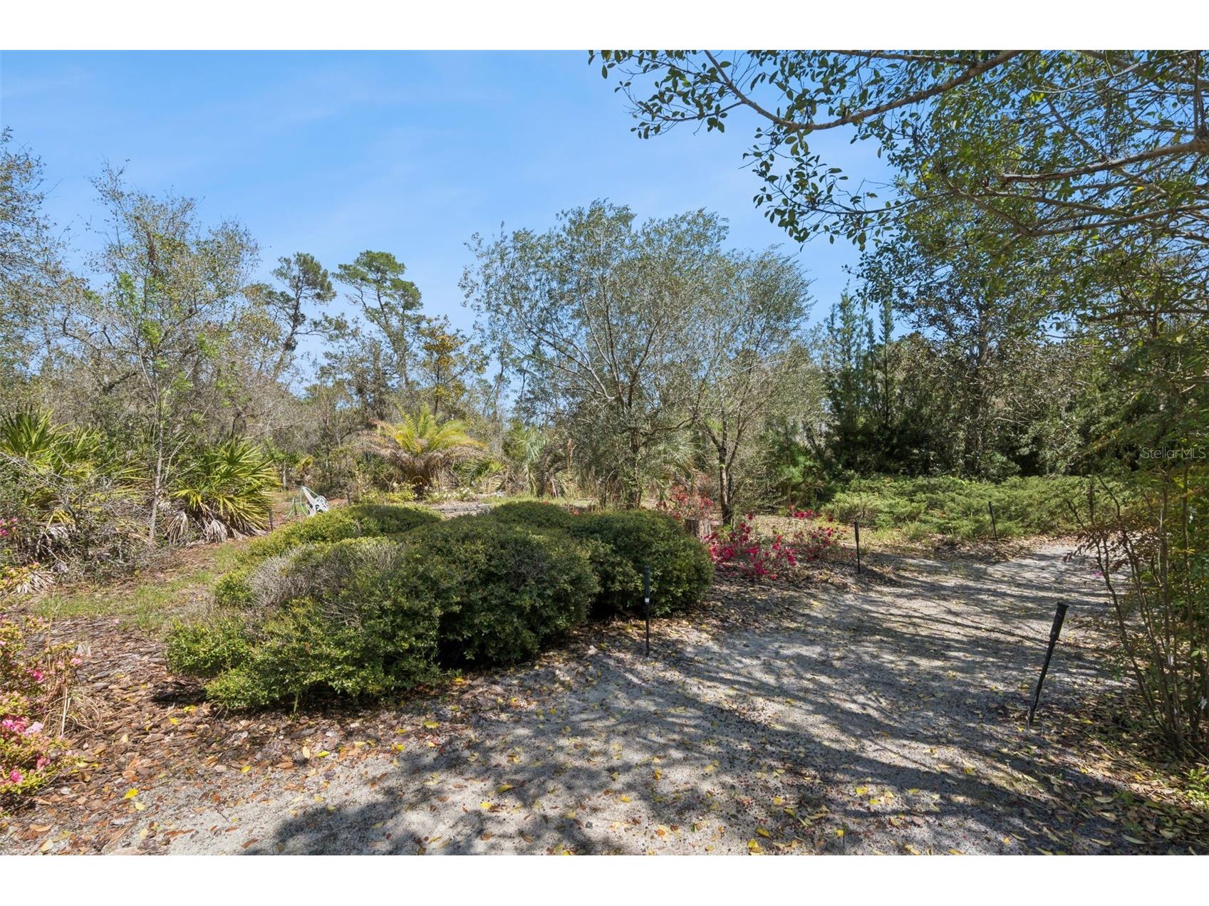 37008 Forestdel Drive Eustis FL 32736 O6386511 image40