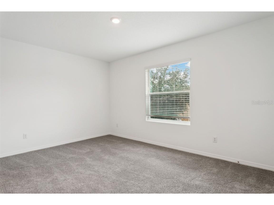 3701 Copper Beech Drive Land O Lakes FL 34638 TB8455184 image14