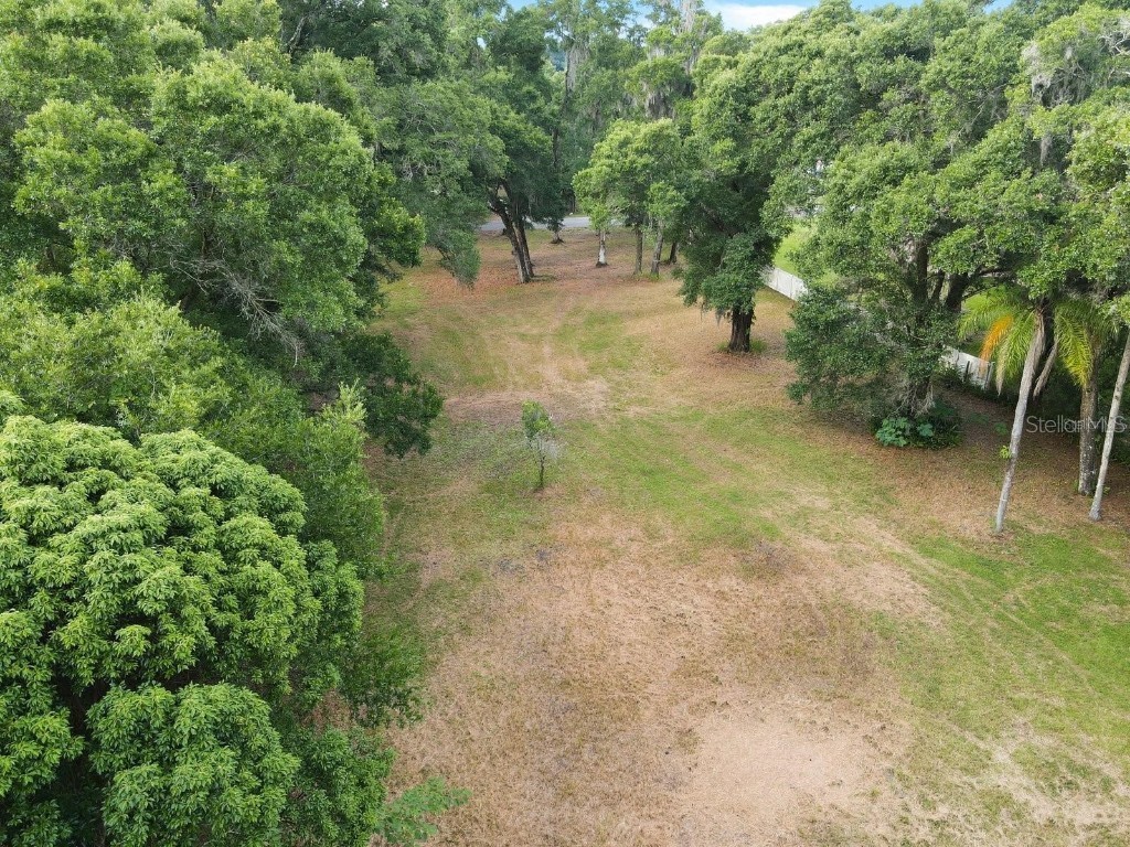 3701 Crestwood Drive Valrico FL 33596 T3412199 image1