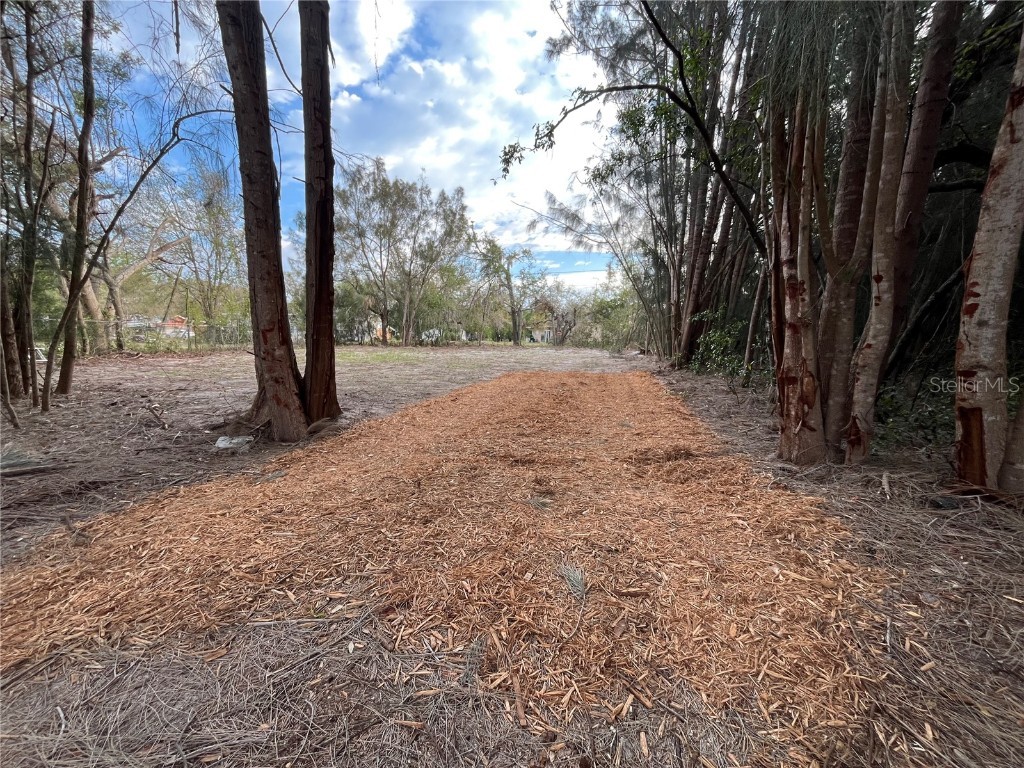 3701 Fournier Avenue Mount Dora FL 32757 G5093959 image2