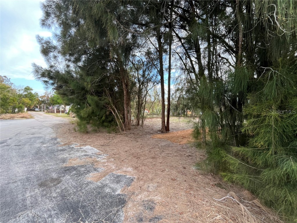 3701 Fournier Avenue Mount Dora FL 32757 G5093959 image3