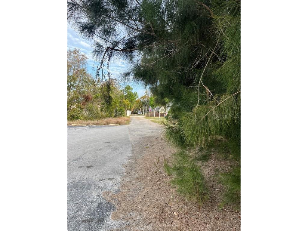 3701 Fournier Avenue Mount Dora FL 32757 G5093959 image6