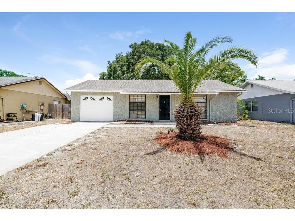 3701 Modesto Street New Port Richey FL 34655 T3488624 image1