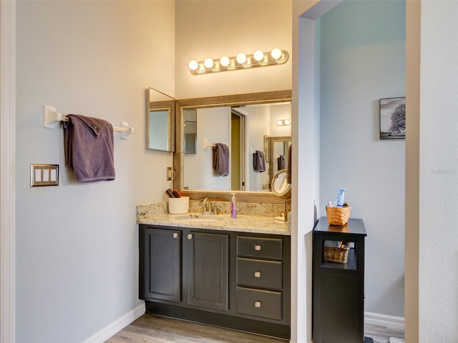 3701 Plantation Boulevard Leesburg FL 34748 G5114448 image19