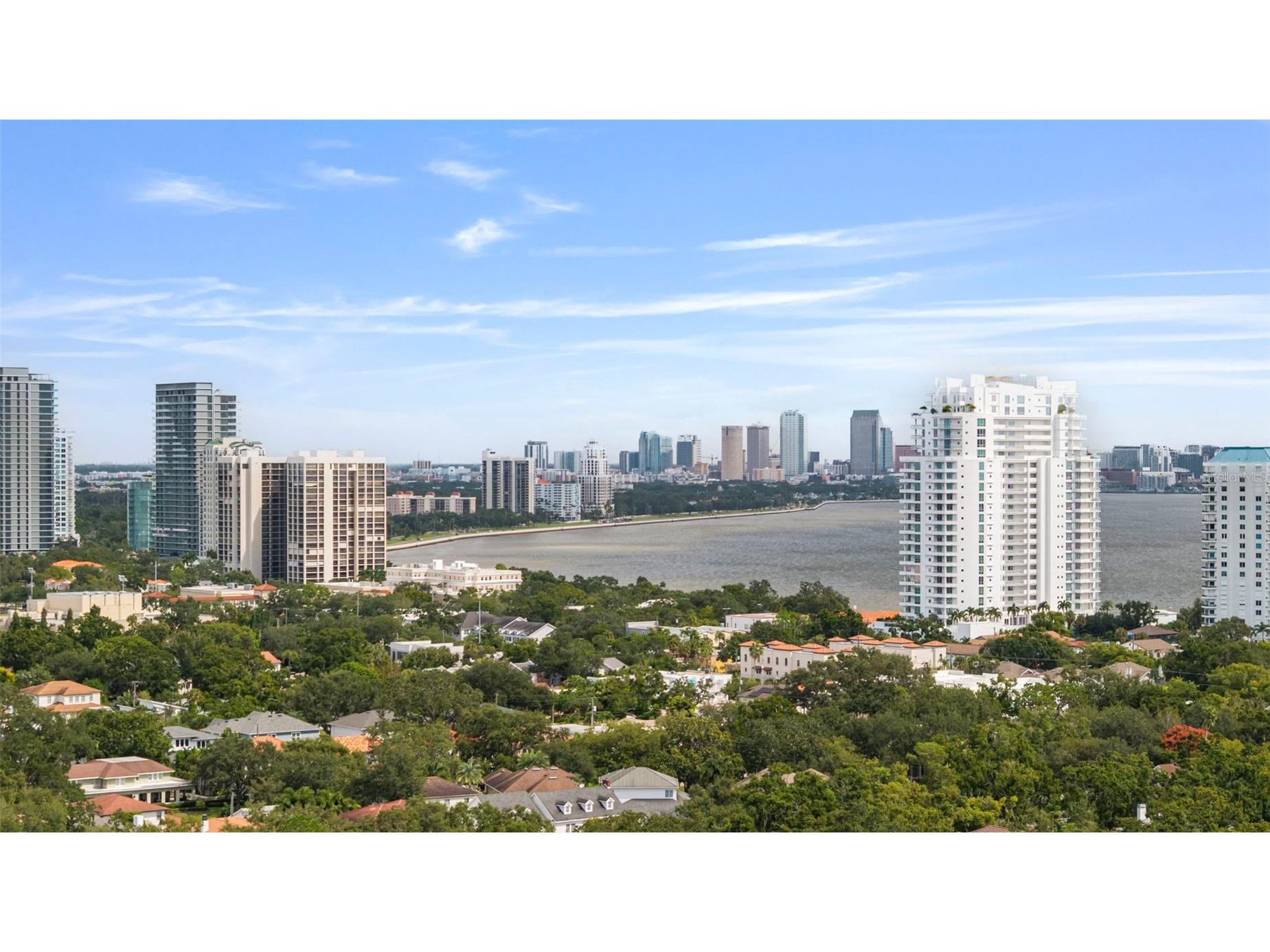 3701 S Lynwood Avenue Tampa FL 33611 TB8510477 image97