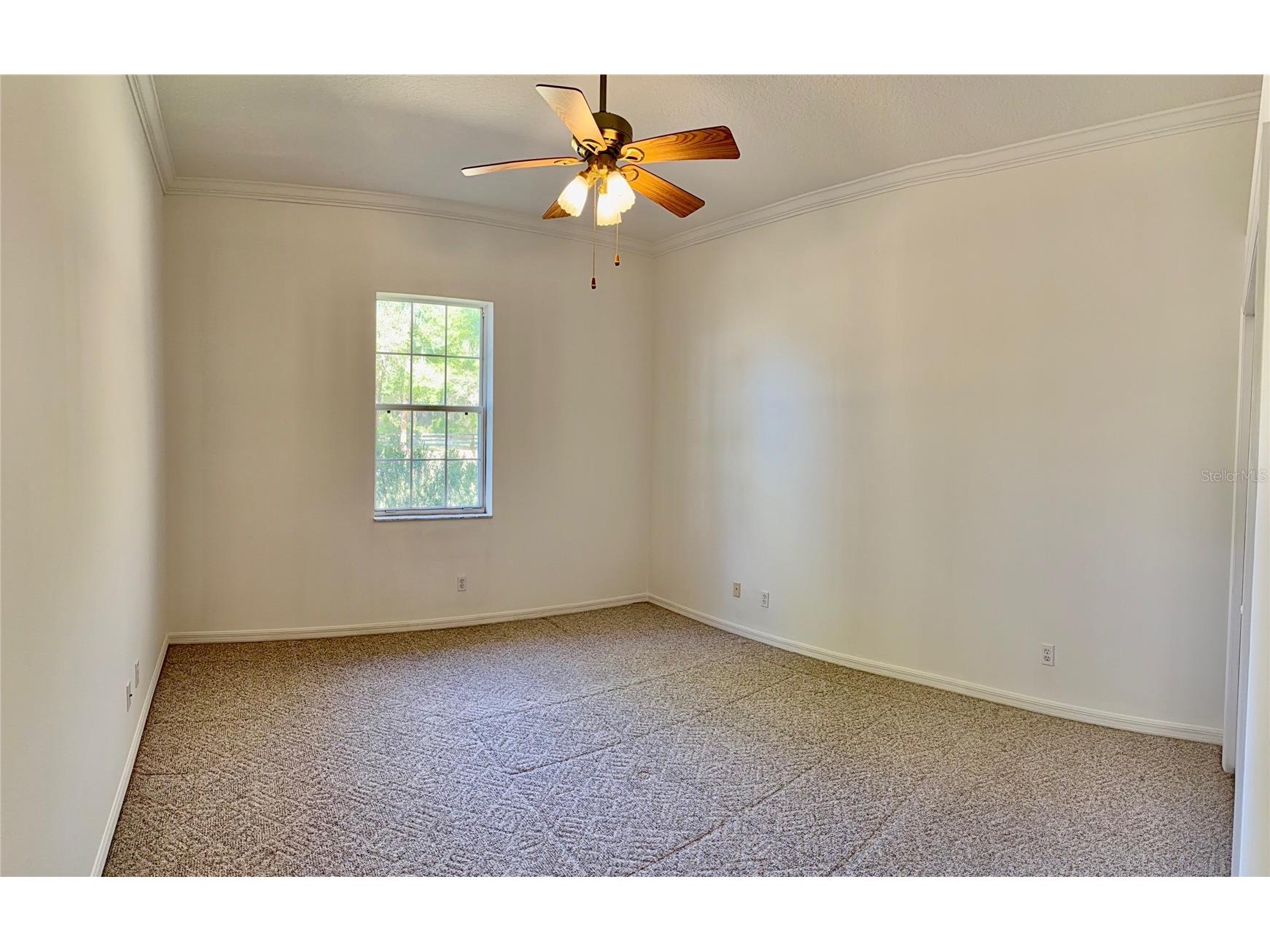 3701 W Anthony Road Ocala FL 34475 OM721314 image26