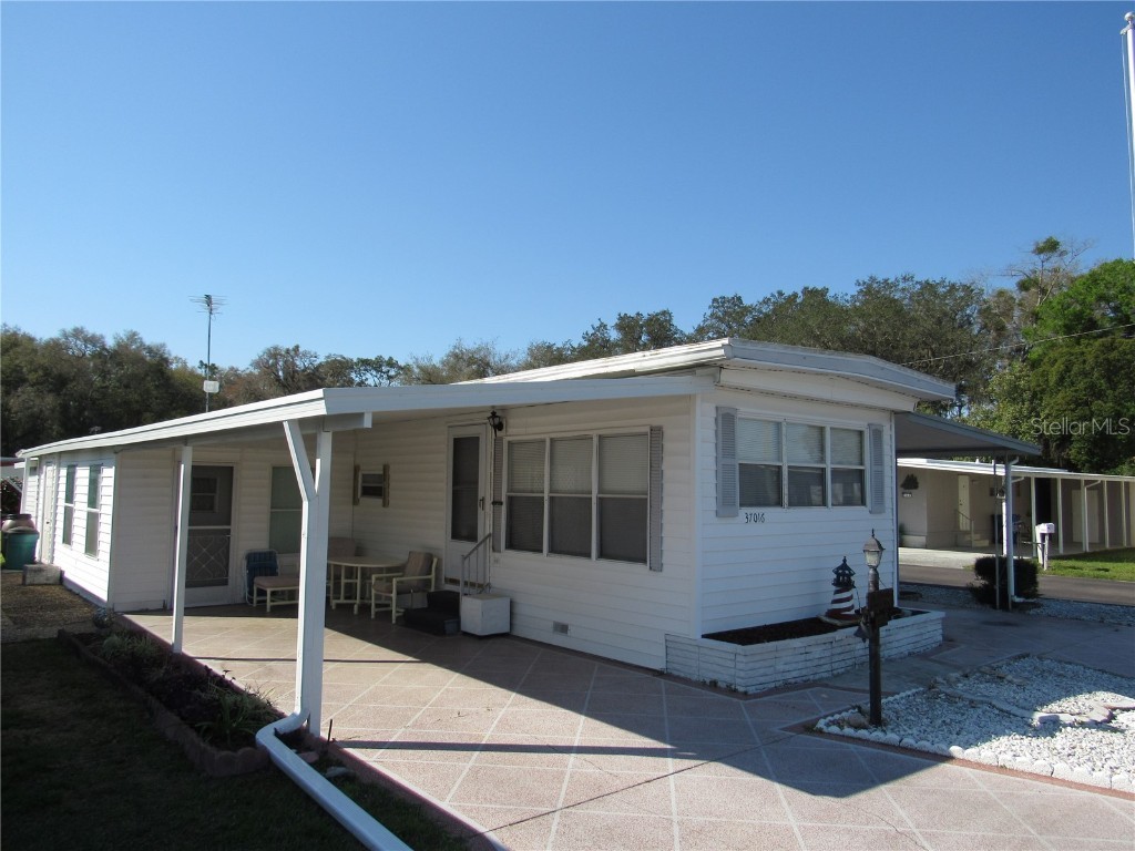 37016 Sandra Avenue Zephyrhills FL 33542 T3506343 image1