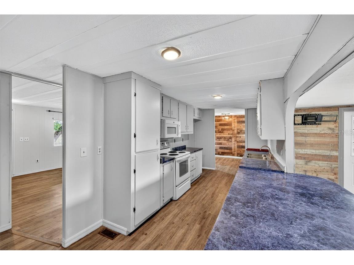 37016 Waterside Drive Zephyrhills FL 33541 TB8435223 image10