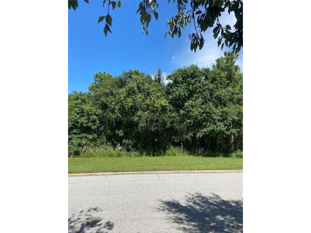 3702 162nd Avenue E Parrish FL 34219 A4553923 image1