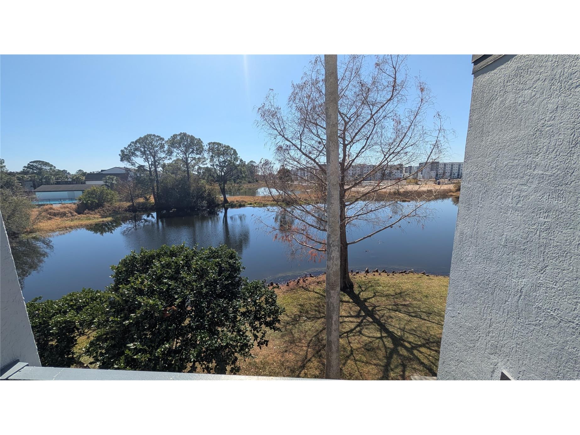 3702 Palm Desert Lane #5423 Orlando FL 32839 O6381725 image2